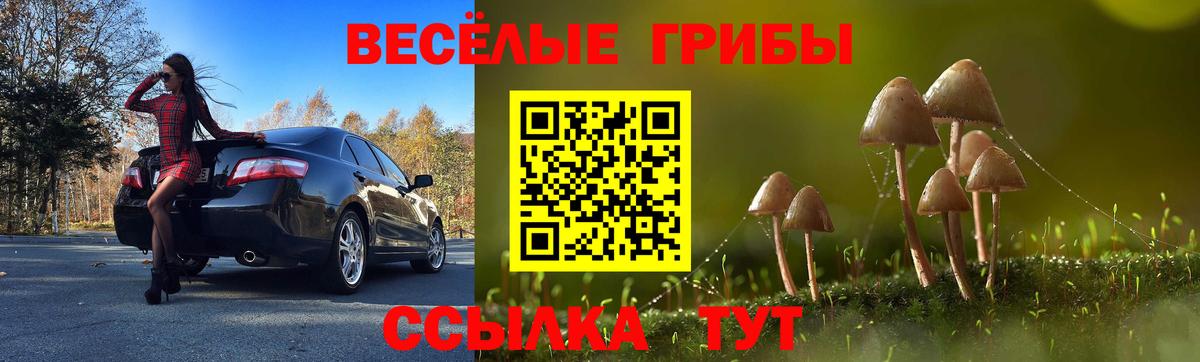Галлюциногенные грибы GOLDEN TEACHER Уварово